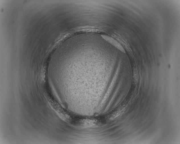 X0000085760255200703301435