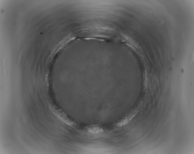 X0000085760258200703301435