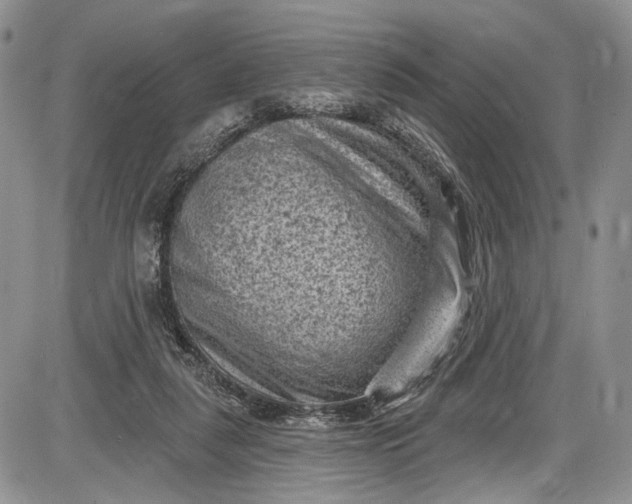 X0000085760259200703301435