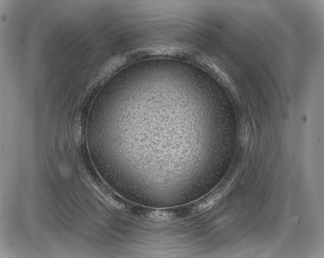 X0000085760261200703301435