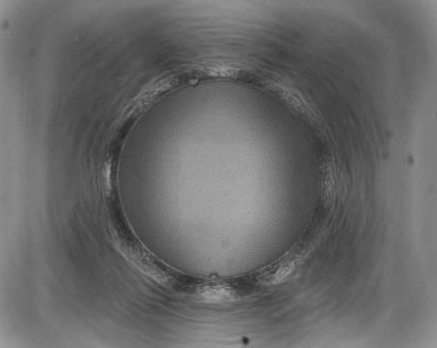 X0000085760262200703301435