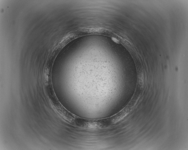 X0000085760264200703301435