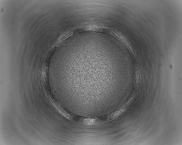 X0000085760265200703301435