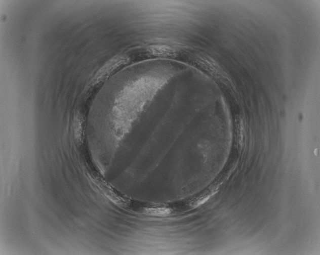 X0000085760266200703301435