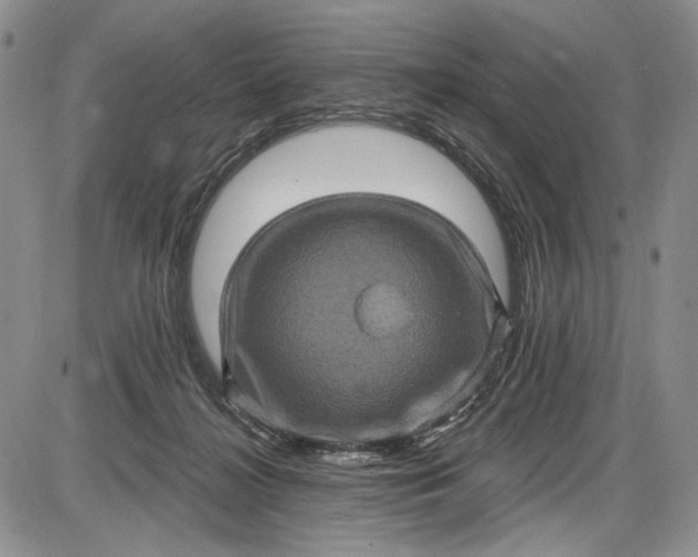 X0000085760268200703301435