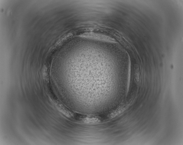 X0000085760270200703301436