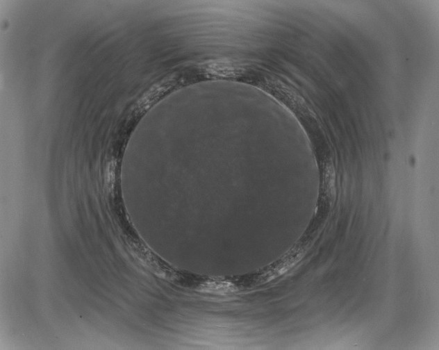 X0000085760271200703301436