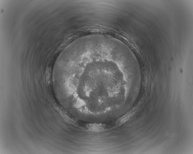 X0000085760273200703301436