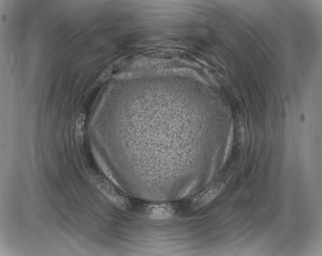 X0000085760275200703301436