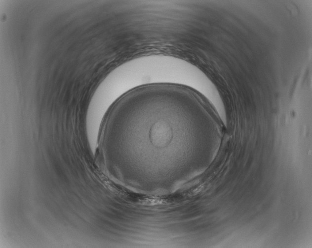 X0000085760276200703301436