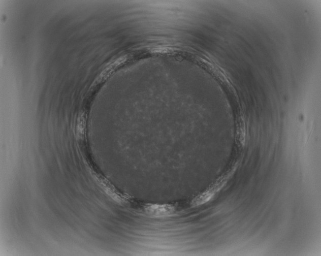 X0000085760277200703301436