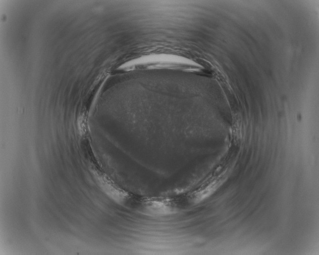 X0000085760285200703301436