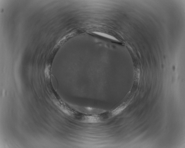 X0000085760286200703301436