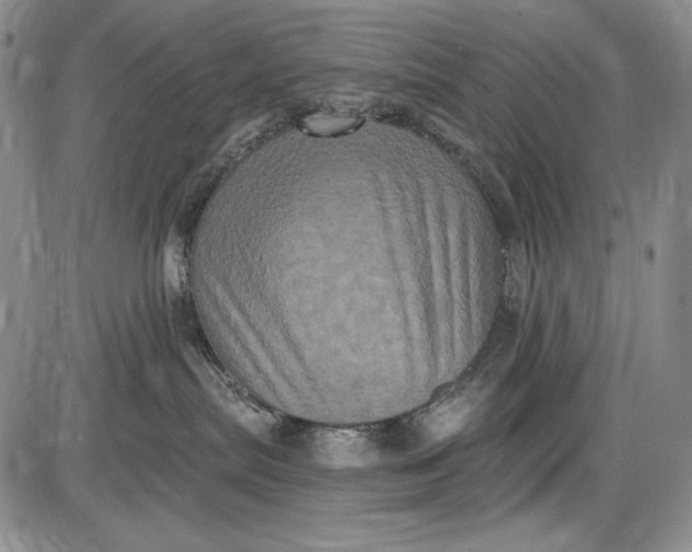 X0000085760287200703301436