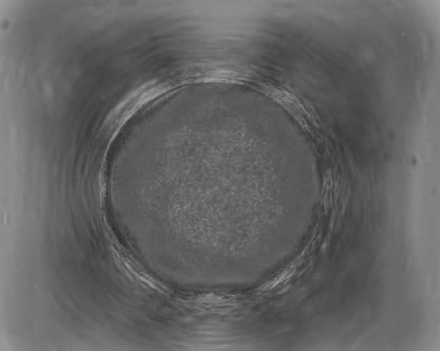 X0000085760290200703301435