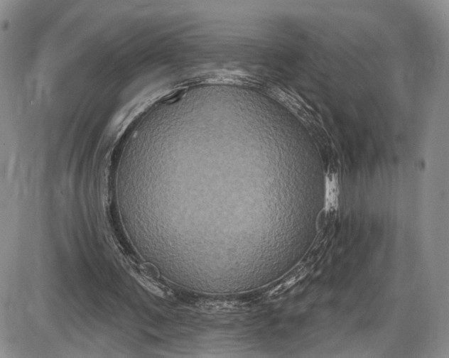 X0000085760291200703301435