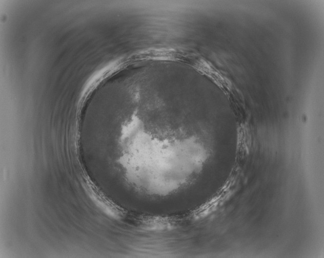 X0000085760293200703301435