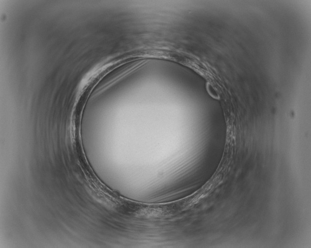 X0000085760294200703301435