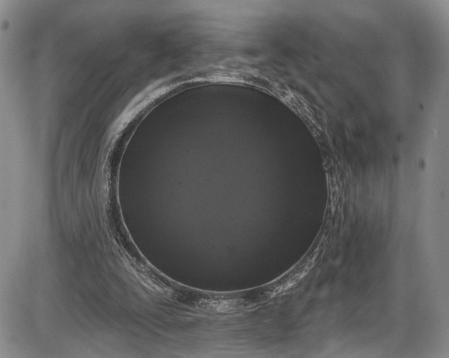 X0000085760295200703301435