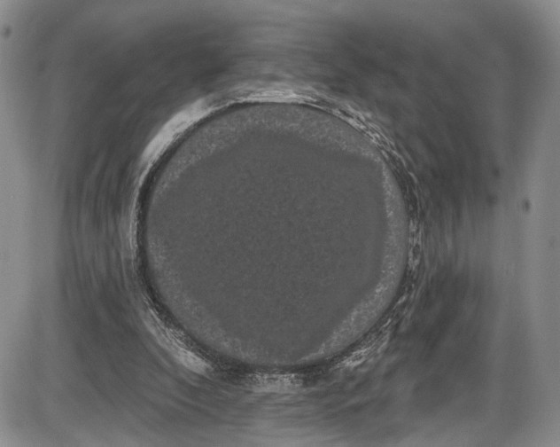 X0000085760296200703301435
