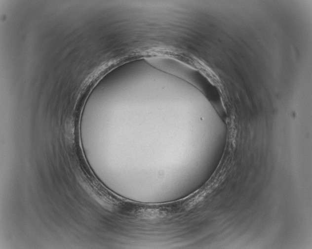 X0000085760298200703301435