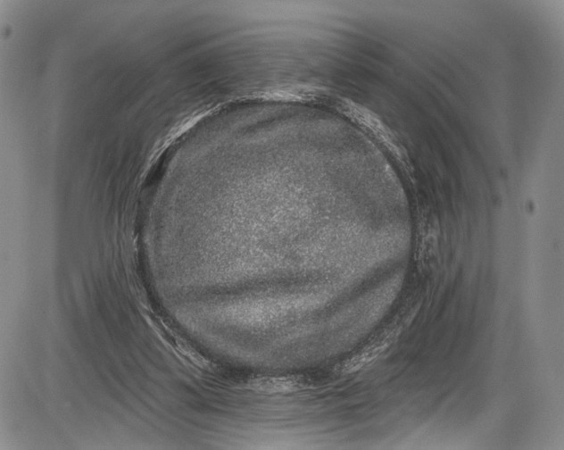 X0000085760299200703301435