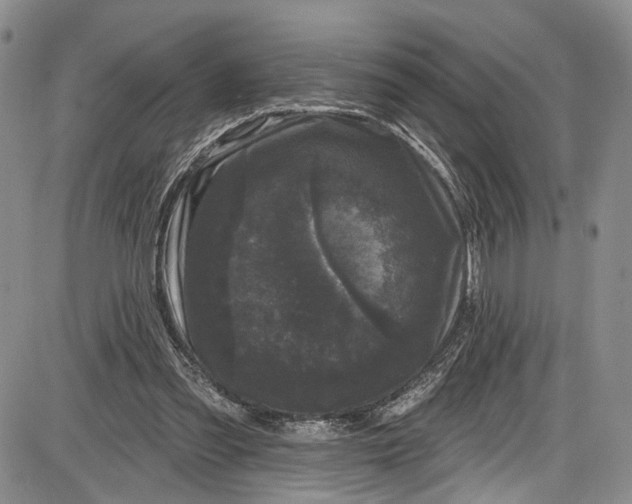 X0000085760301200703301435