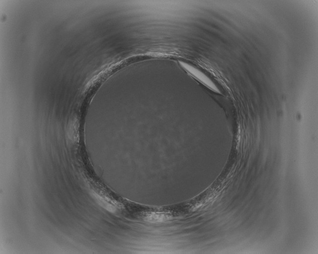 X0000085760303200703301435