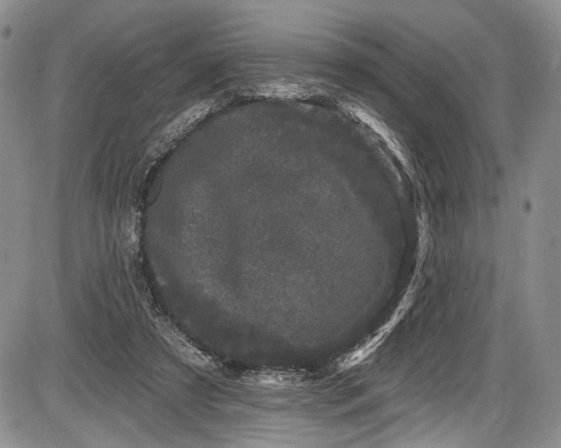 X0000085760305200703301435