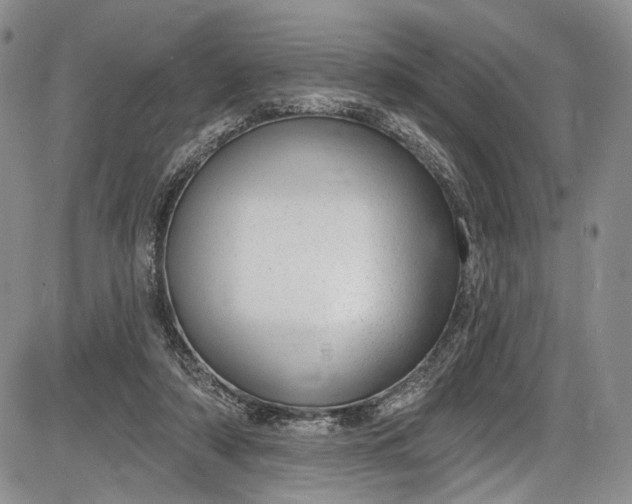 X0000085760306200703301435