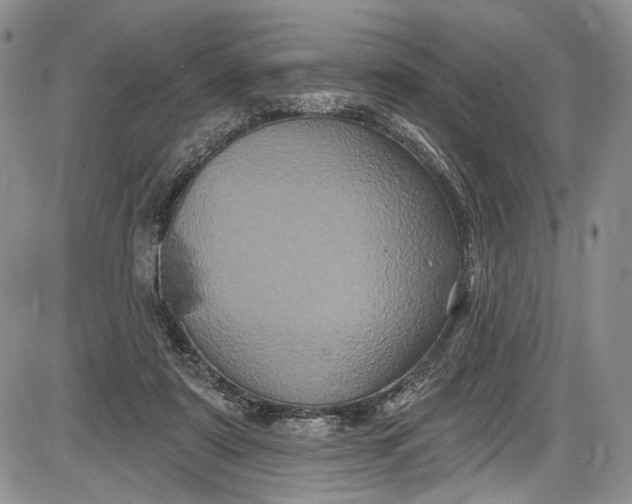 X0000085760307200703301435