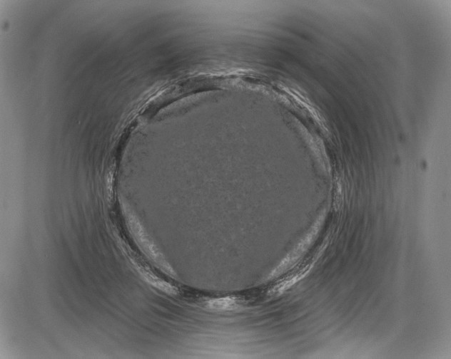 X0000085760309200703301435