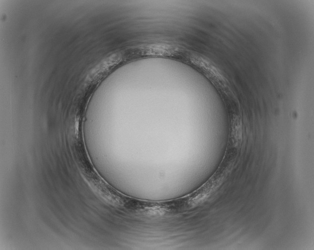 X0000085760310200703301435
