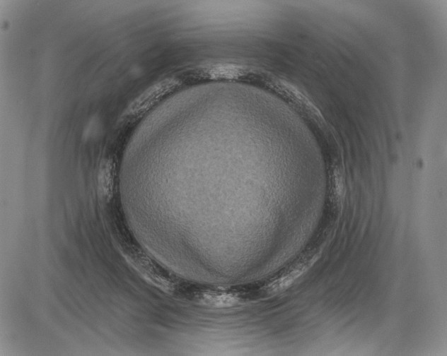 X0000085760311200703301435