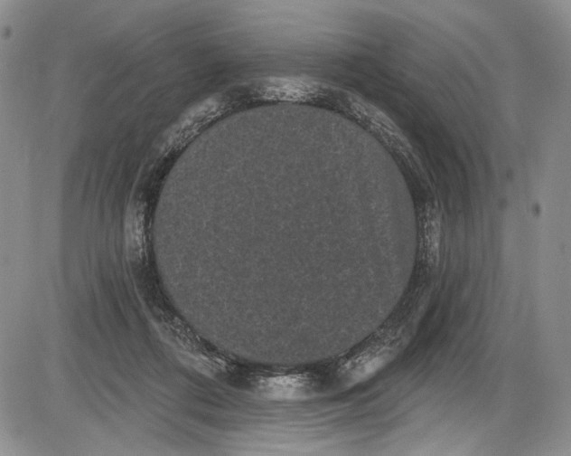 X0000085760312200703301435