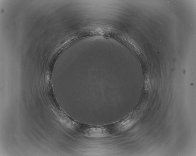 X0000085760314200703301435