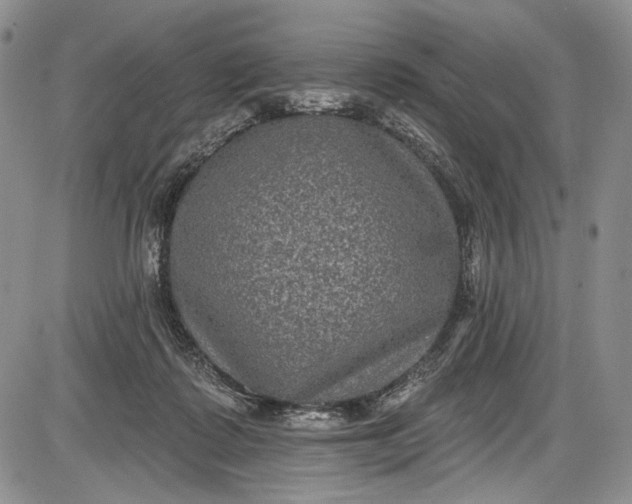 X0000085760315200703301435