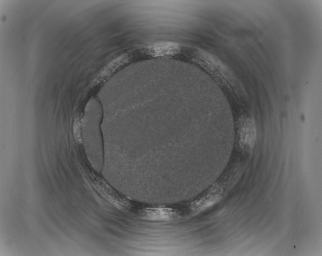 X0000085760316200703301435