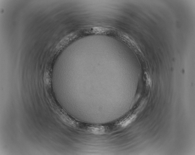 X0000085760317200703301435