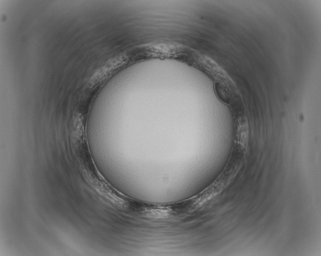 X0000085760318200703301435