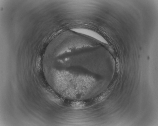 X0000085760319200703301435