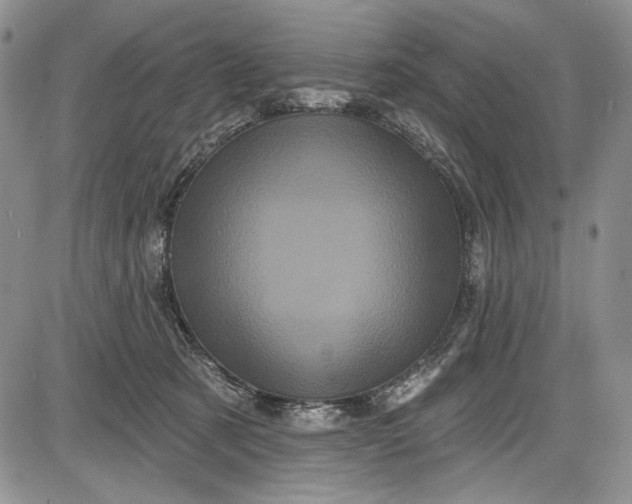X0000085760321200703301434