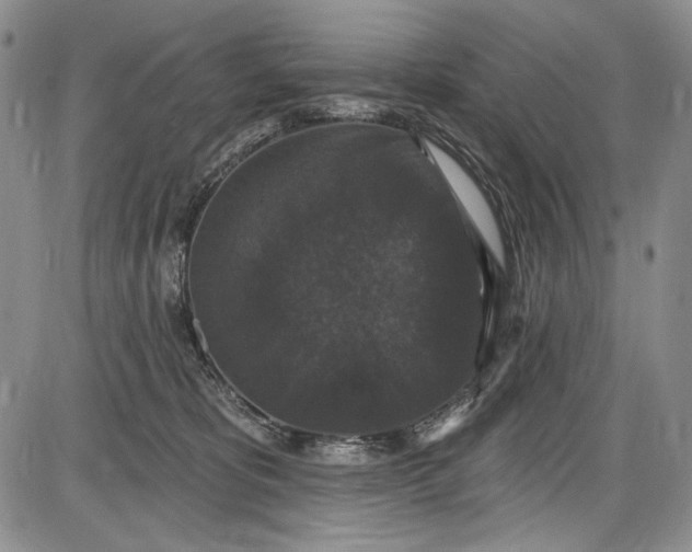 X0000085760325200703301434