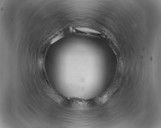 X0000085760329200703301434
