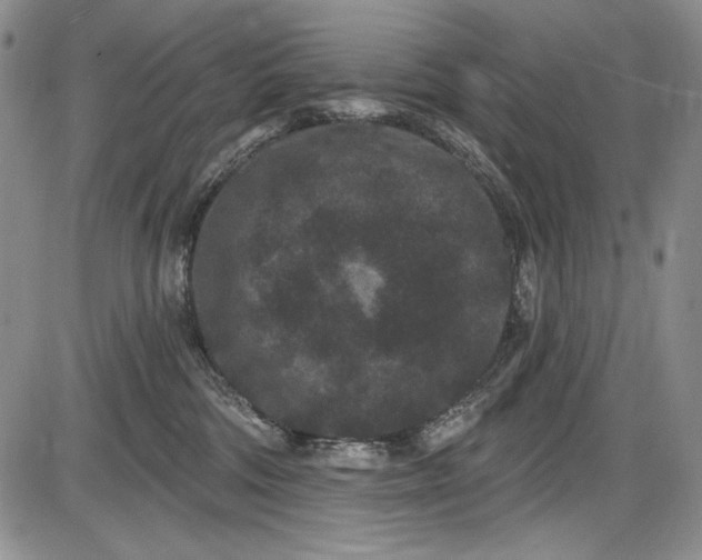 X0000085760330200703301434