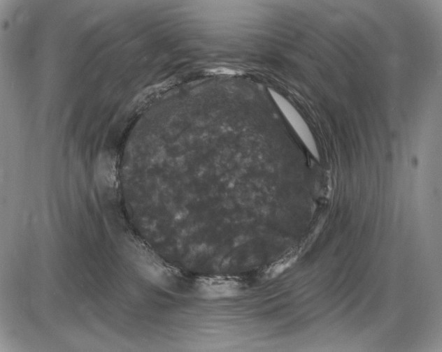 X0000085760331200703301434
