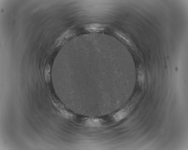 X0000085760332200703301434