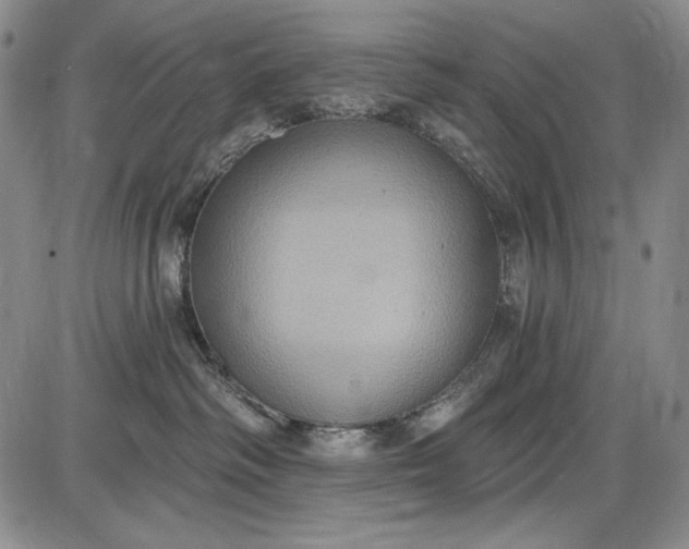 X0000085760334200703301434