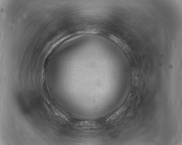 X0000085760338200703301433