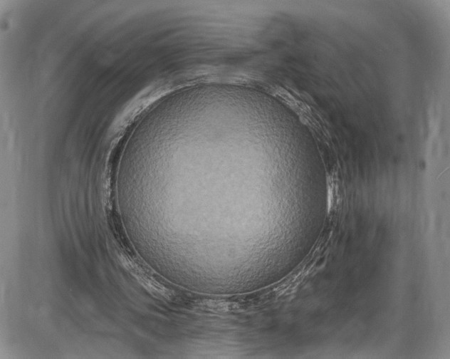 X0000085760339200703301433